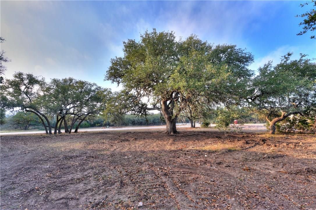 1700 W Driftwood Valley Trail, Driftwood, TX, 78619 MLS 5603932