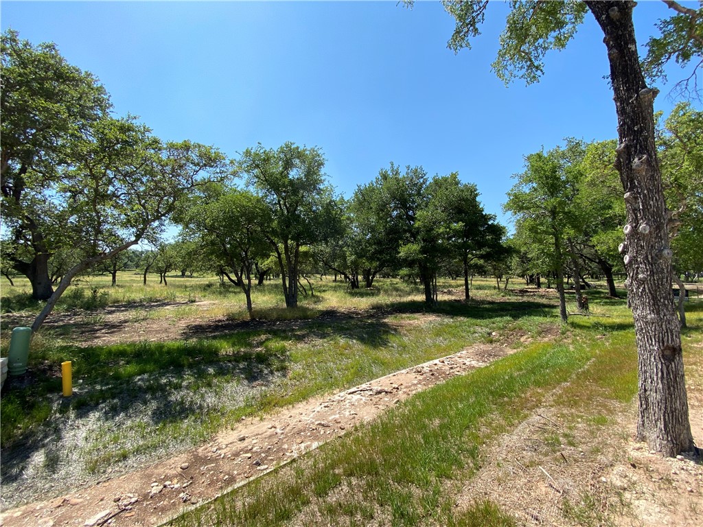 175 Bunker Ranch Boulevard 4, Dripping Springs, TX, 78620 MLS 4663740