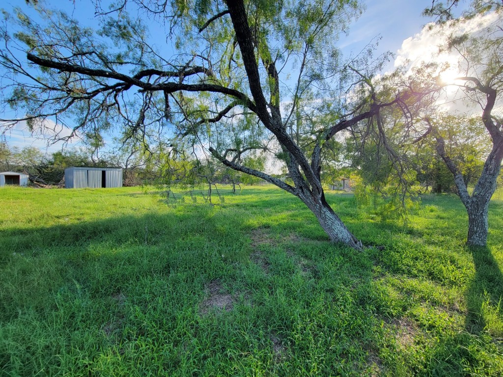 962 Highway 304, Bastrop, TX, 78602 MLS 6847410