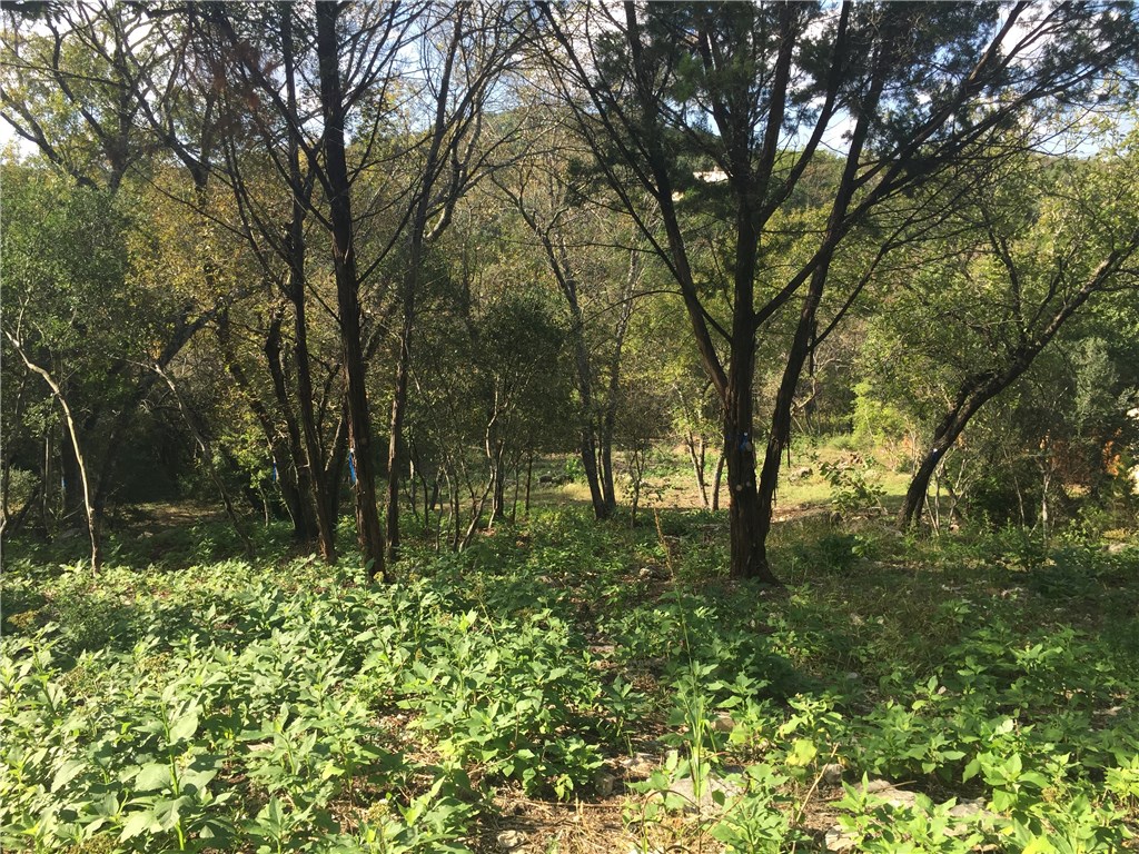 2312 Toro Canyon Road, Austin, TX, 78746 MLS 4202616