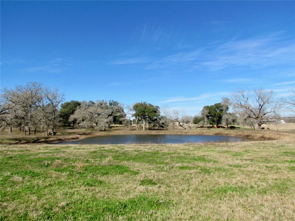 TBD Steiber Road, Schulenburg, TX, 78956 MLS 4173636