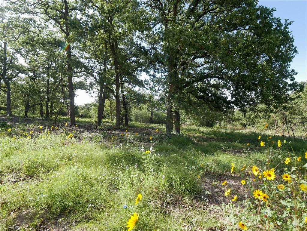 276 Cumley, Thorndale, TX, 76577 MLS 4810503