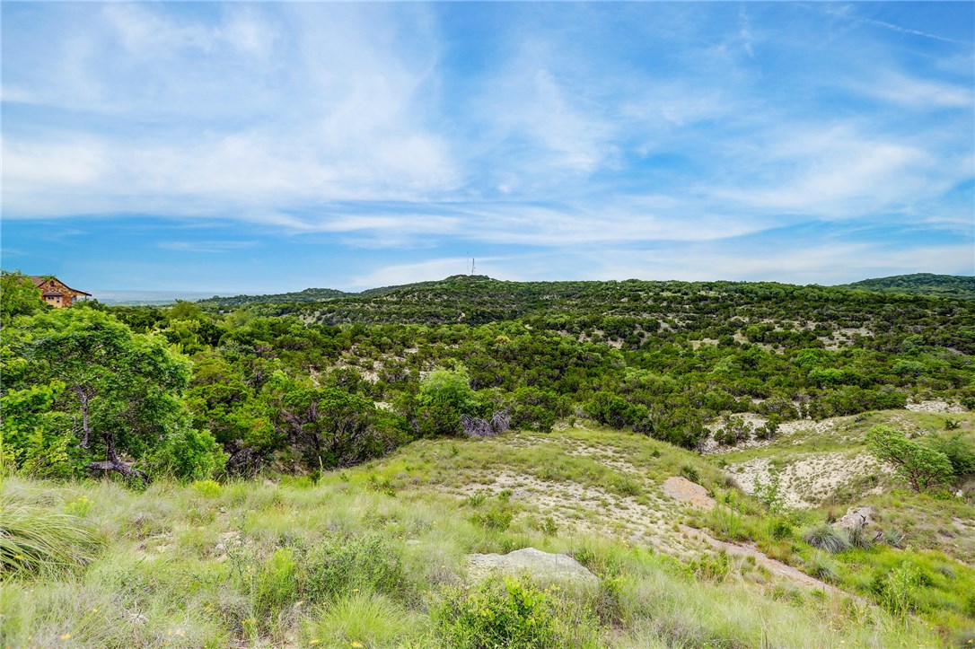 344 Stacey Ann Cove, Dripping Springs, TX, 78620 MLS 2284115