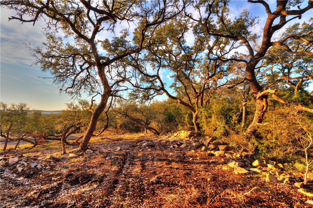 24 Driftwood Valley Trail, Driftwood, TX 78619 MLS 6358720