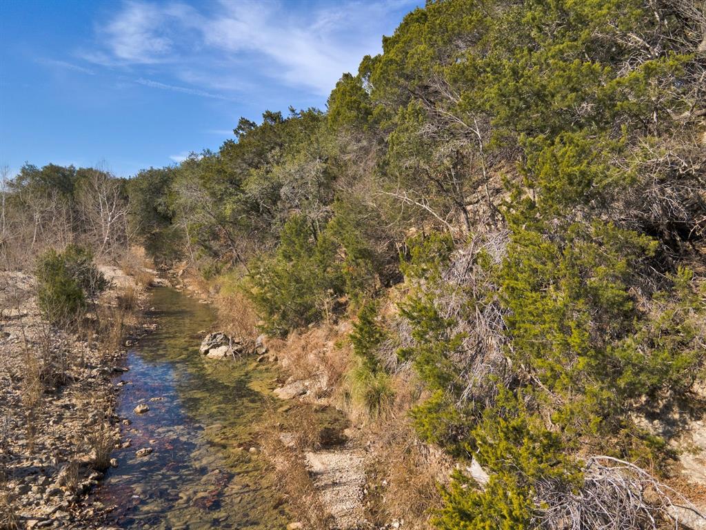 31171 Rr 12, Dripping Springs, TX, 78620 MLS 2890698