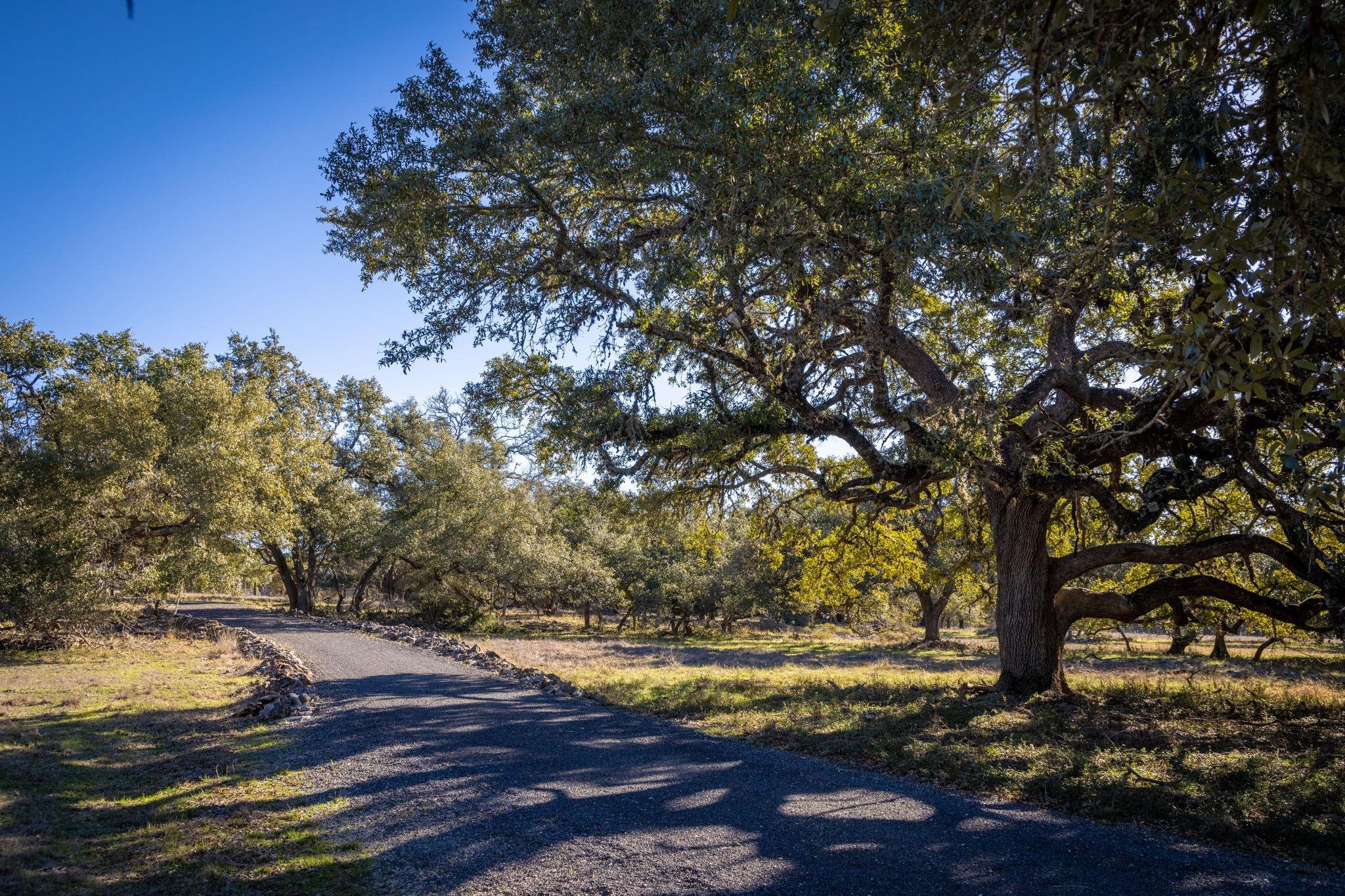 2756 Purgatory Rd, New Braunfels, TX, 78132 MLS 9476522